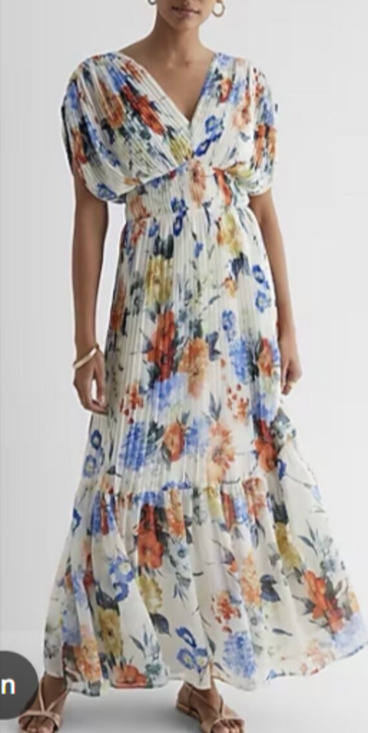 Express Dresses & Skirts - Express Floral Draped Sleeve Pleated Maxi Dress V-Neck Boho Chiffon Size XS 0-4